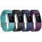 Đồng Hồ Thông Minh Fitbit Charge 2