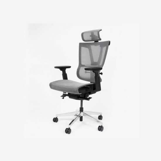 Ghế Công Thái Học Epione ErgoChair Pro